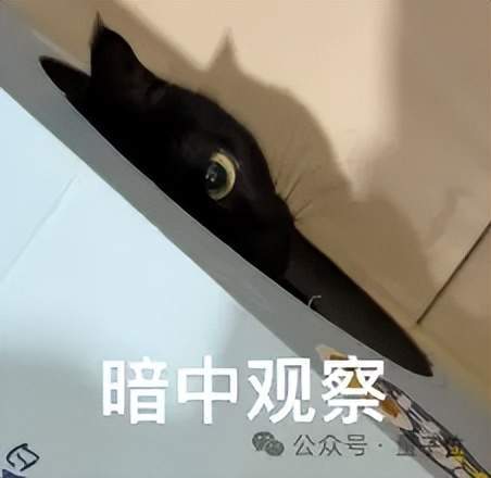 千万奖池找“鲸锐”！单项奖金200万，只等一个最会用AI讲故事的你