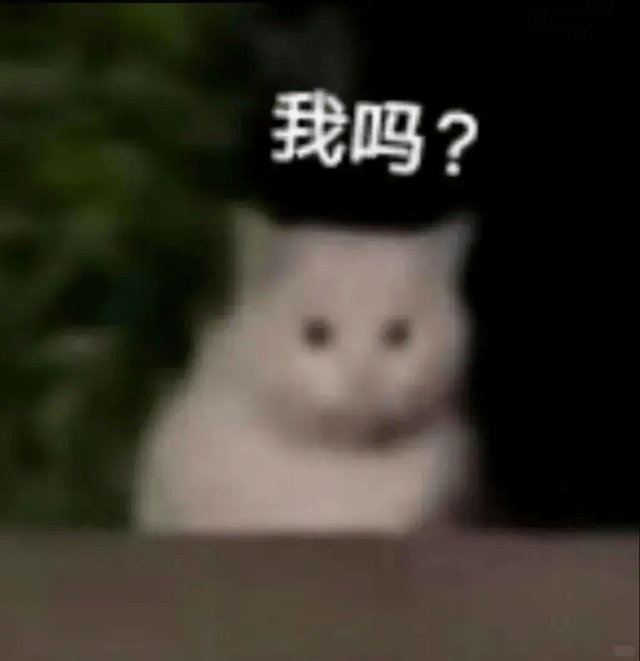 何恺明团队新作：看猫片就能学会ARC挑战