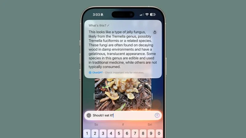 苹果 iOS 27 线索:iPhone 18 Pro 等用视觉智能购物查询,将显示推广内容